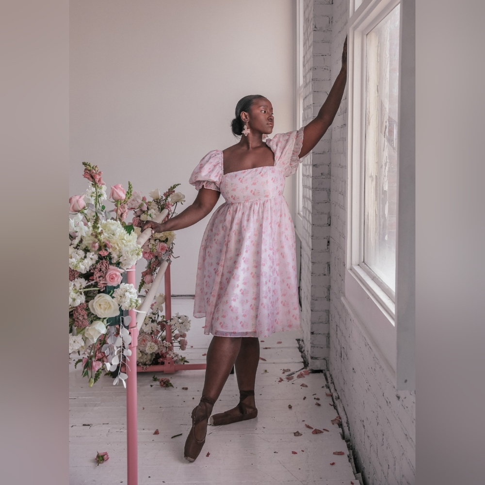 Jessakae Ballet Dress Pink Floral S Small NWT